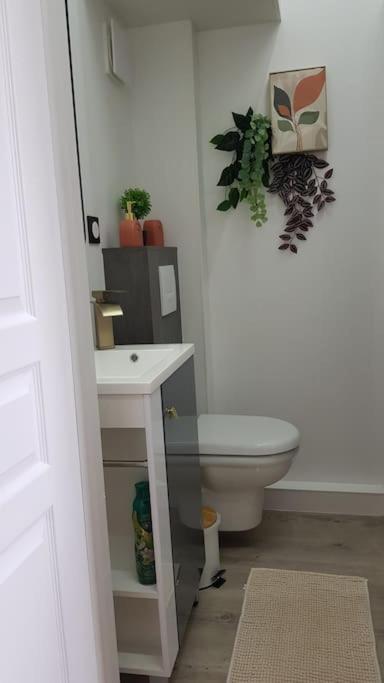 Petit Studio Magellan Nantes Zewnętrze zdjęcie